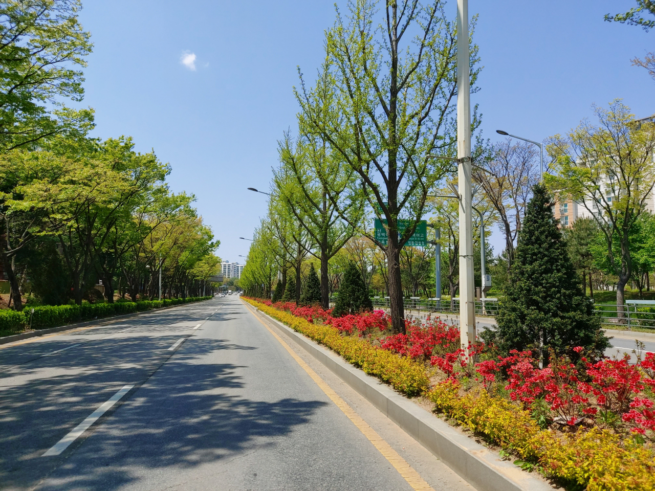 평택시는 국도1호선 남부문화예술회관~동삭교 구간에 걷고 싶은 힐링거리를 조성. [평택시 제공]