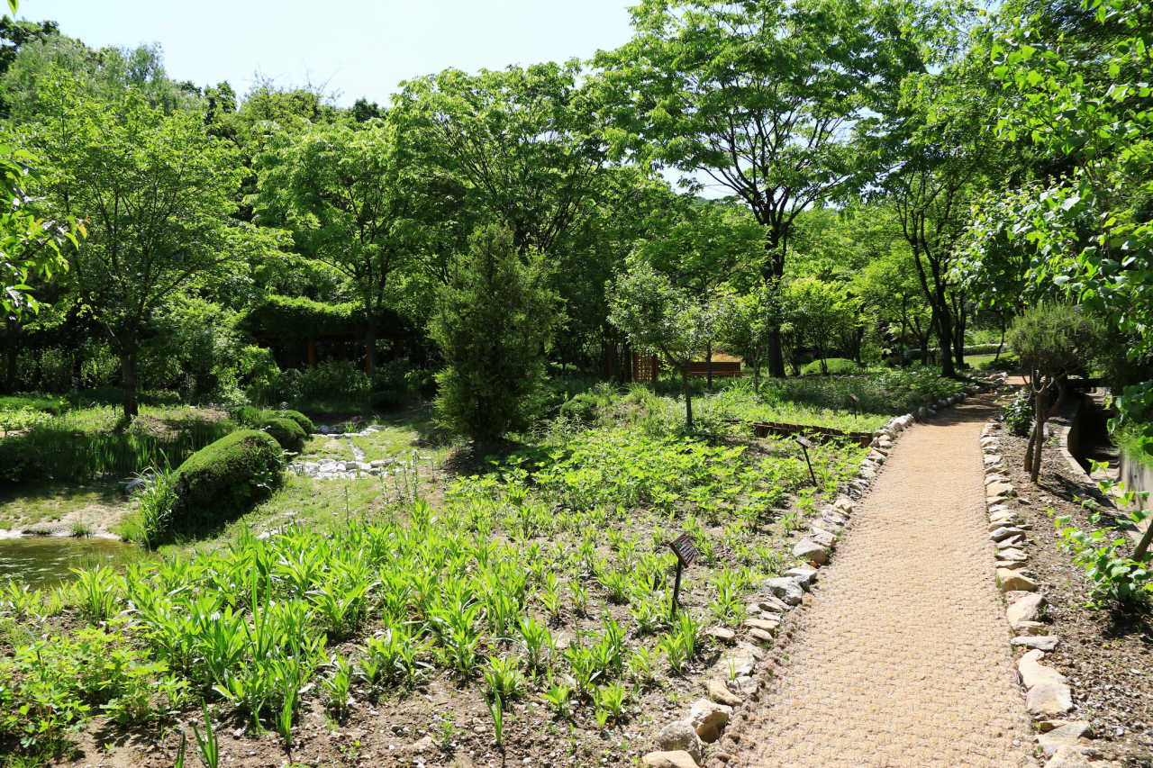 과천시는 야생화 식재, 관목 식재 등 정비를 했다. [과천시 제공]