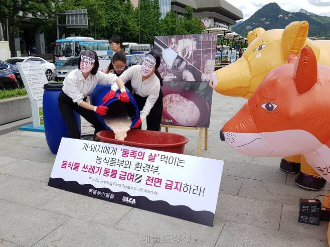 [헤럴드DB]