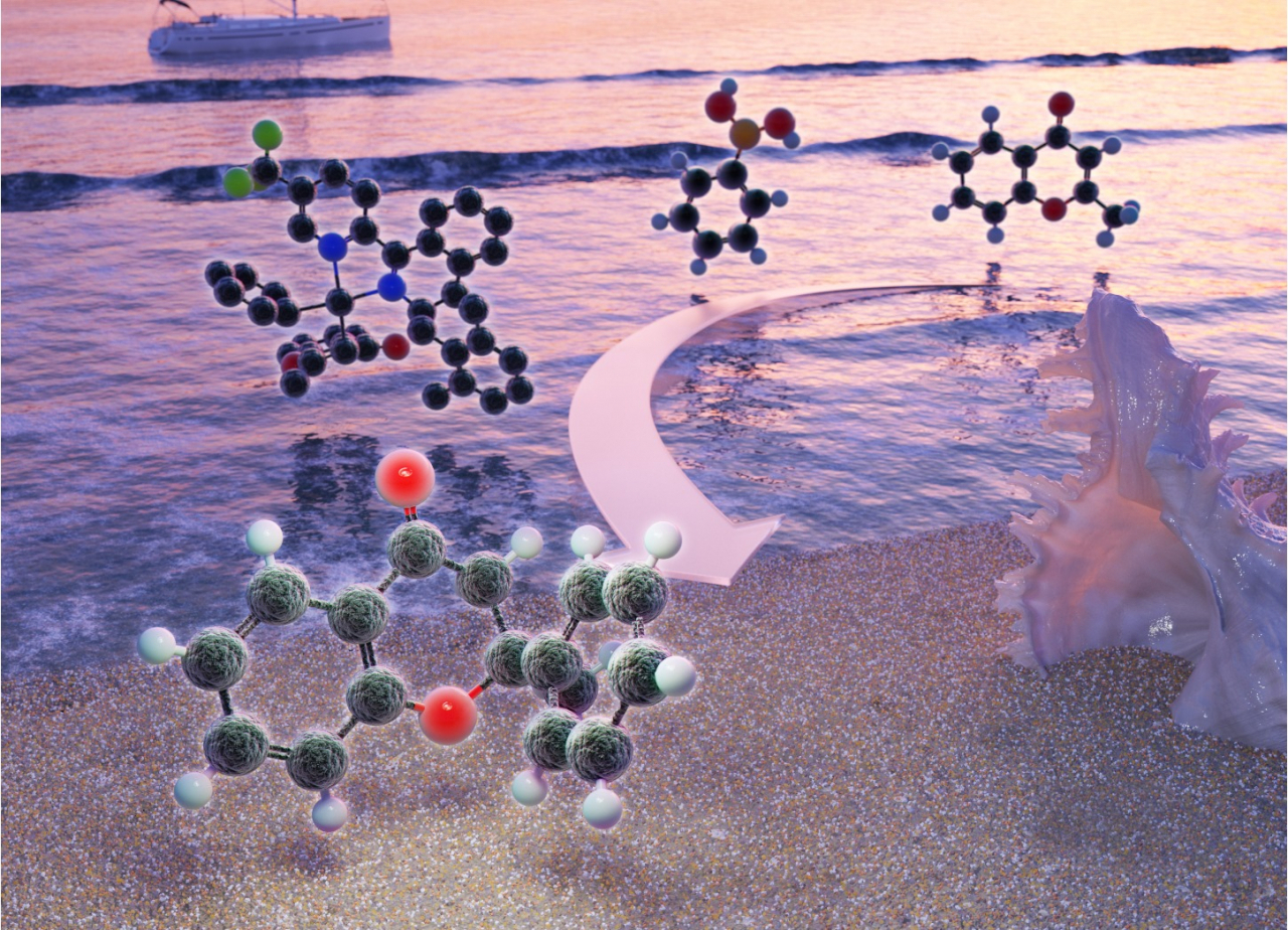 이번 연구성과가 게재된 화학분야 국제학술지 ‘케미컬 사이언스’ 표지.[GIST 제공]