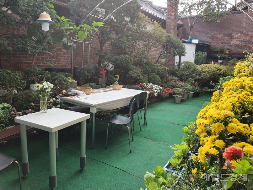 지난해 ‘종로구 잘 가꾼 집’ 최우수상에 선정된 ‘북촌로9길 9번지’ 주택. 북촌 한옥마을을 찾는 관광객들을 위해 화장실과 마당을 개방하고, 마당에 다채로운 식물과 휴식 공간해 호평받았다. [종로구 제공]