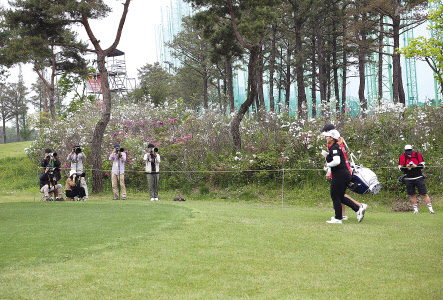 1번홀 미디어존에서 취재하는 기자들. [KLPGA]