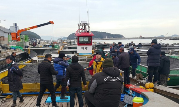 전라남도 고흥군에서 겨우내 생산된 생김이 위판되고 있다. [고흥군 제공]