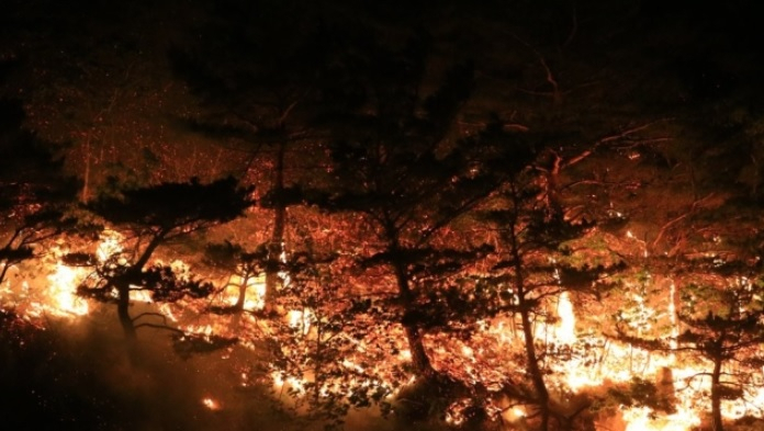 지난 1일 오후 강원 고성군 토성면 도원리에서 발생한 산불이 강한 바람을 타고 주변 지역으로 번지고 있다. [연합]