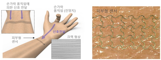 딥러닝된 피부형 센서 구성. 은나노 입자를 레이저로 소결해 크랙형상을 만들어 고민감 센서를 만들었다.[KAIST 제공]
