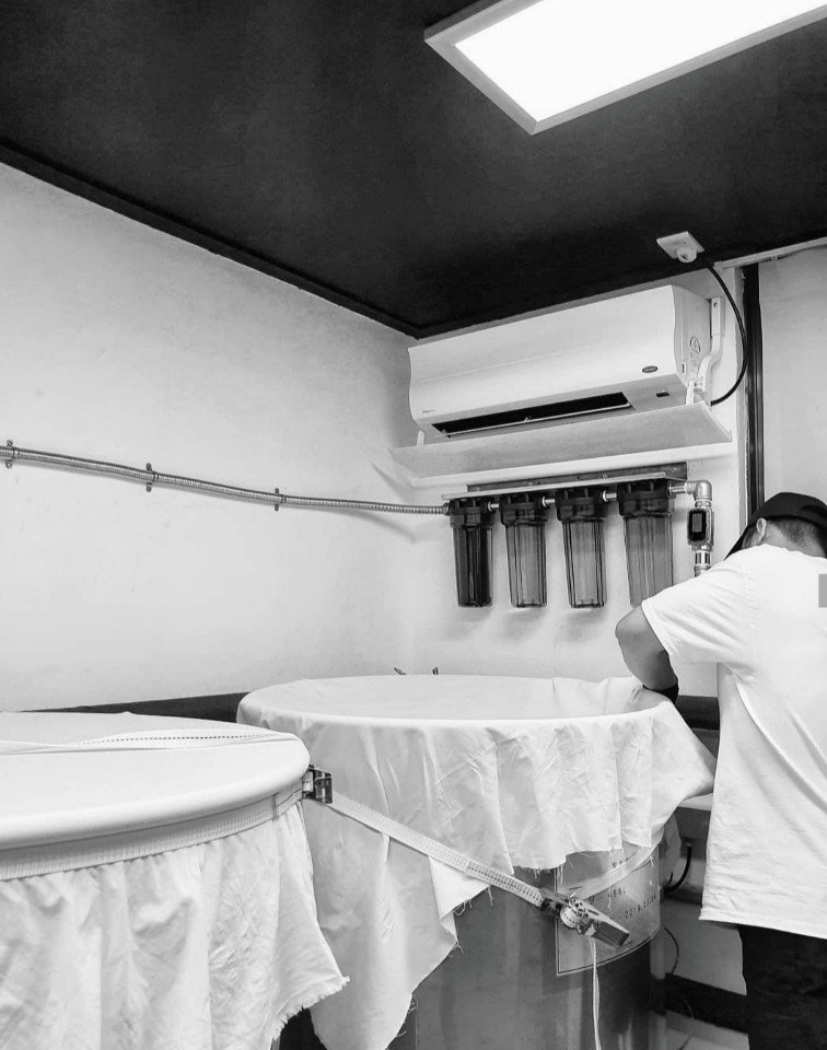 Makgeolli needs to be stirred several times a day to supply the fermenting brew with oxygen to encourage the yeast to multiply and create alcohol. (Hangang Brewery)