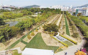 부산광역시 남구 평화공원 내 ‘세계 평화의 숲’전경. [주택도시보증공사(HUG) 제공]