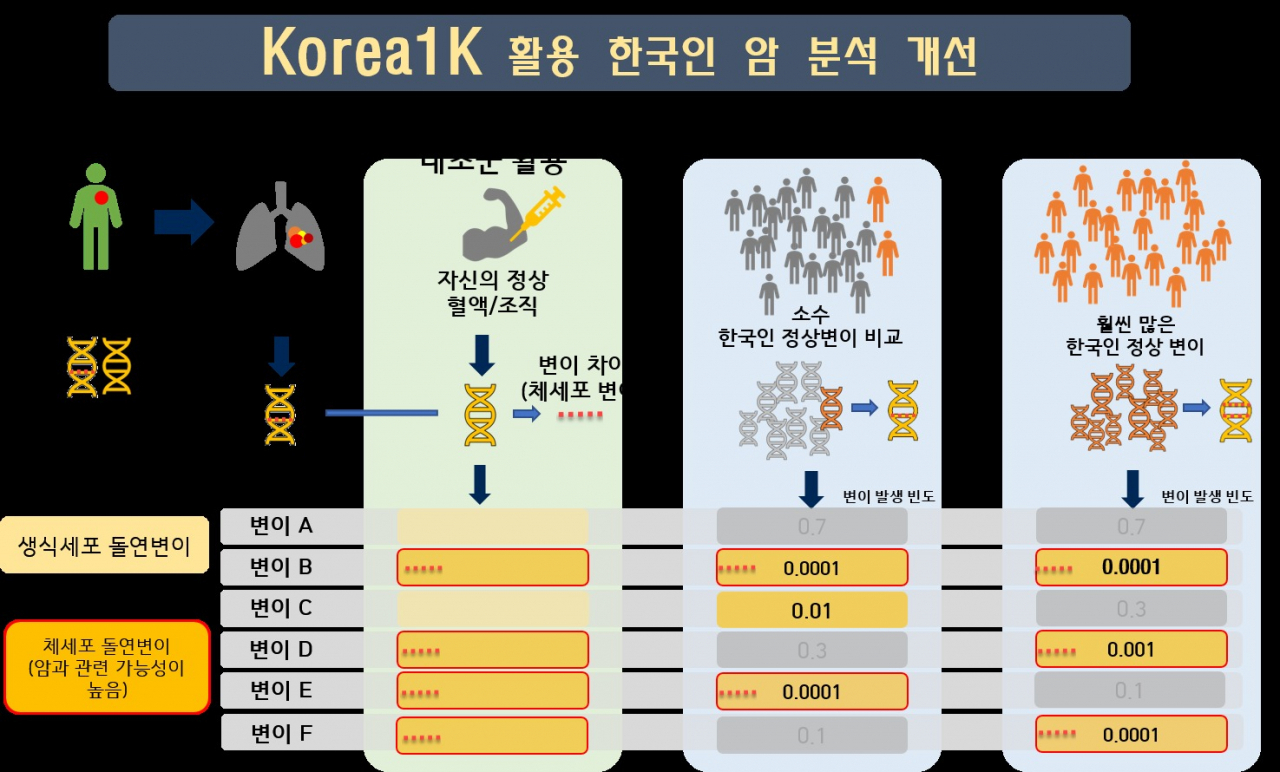 한국인 1천 명 게놈 정보)를 활용한 암 분석 개선.[UNIST 제공]