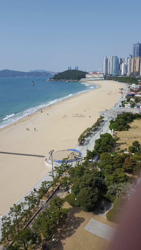 코로나19 여파로 부산의 해운대·송정해수욕장이 6월1일부터 안전개장에 들어갔다.