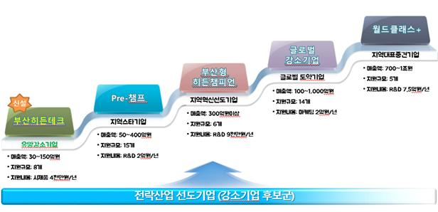 2020년 부산형 강소기업 성장사다리