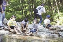 영주 산림치유원에서 보호대상아동들이 ‘온드림 숲속 힐링교실’ 프로그램에 참여하고 있다. [현대차 정몽구 재단 제공]