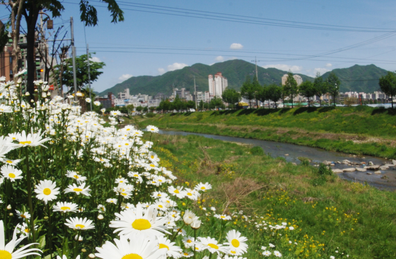 하남시 덕풍천. [하남시]