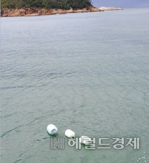 바다에 떠 있는 친환경 콤포지트 부표. [GCC 제공]
