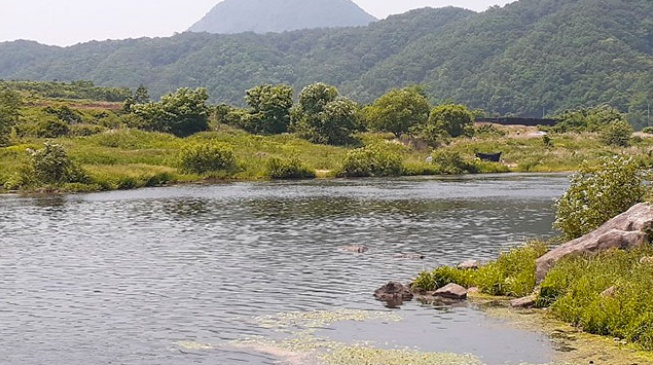 [충북영동소방서 제공]
