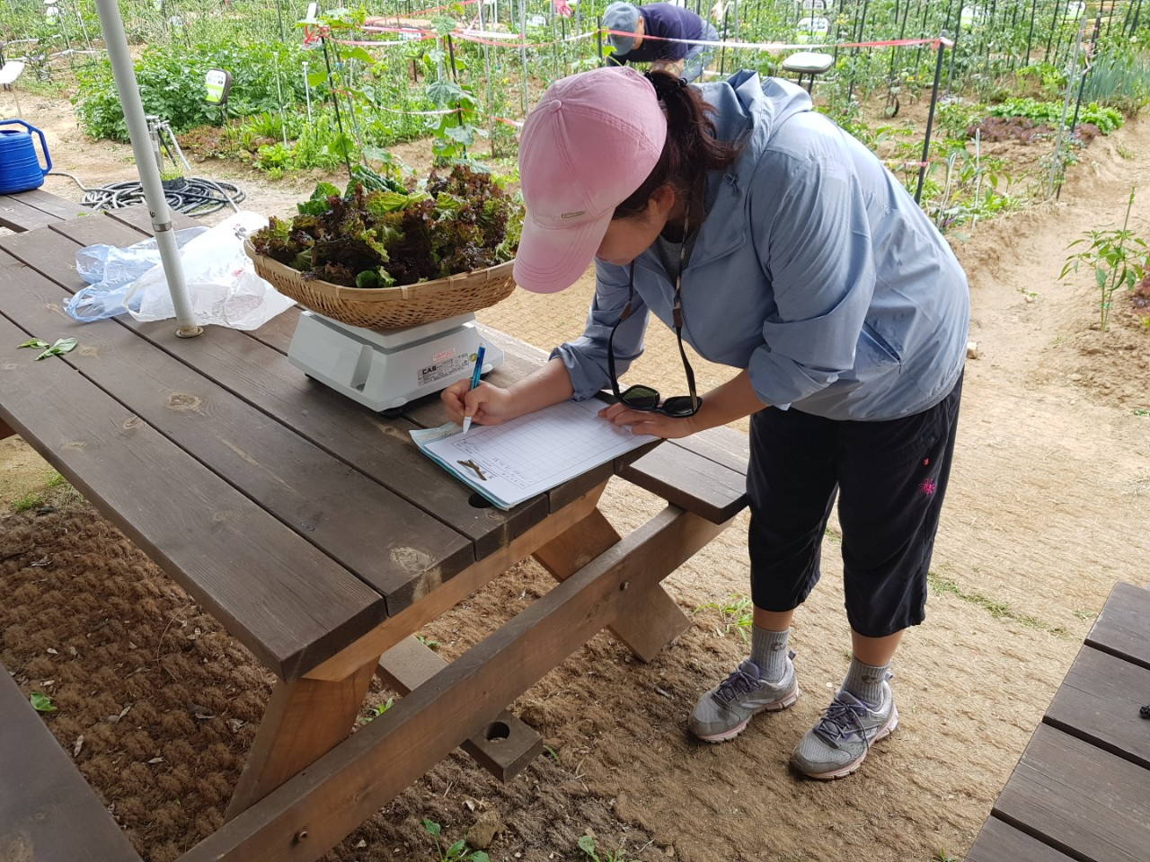 지난해 6월 기부의 날에 텃밭에서 직접 수확한 농작물을 기부하고 있는 기부자의 모습. [광진구 제공]