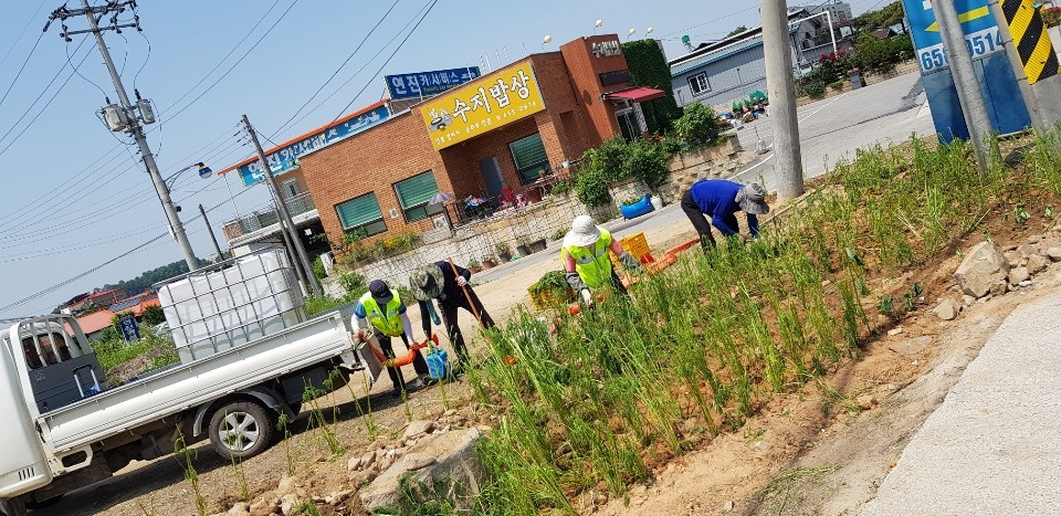 공도읍 쓰레기 상습투기지역 화단조성. [안성시 제공]