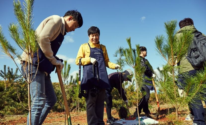 나무 심는 ‘한화 태양의 숲’ 원정대 [한화 제공]