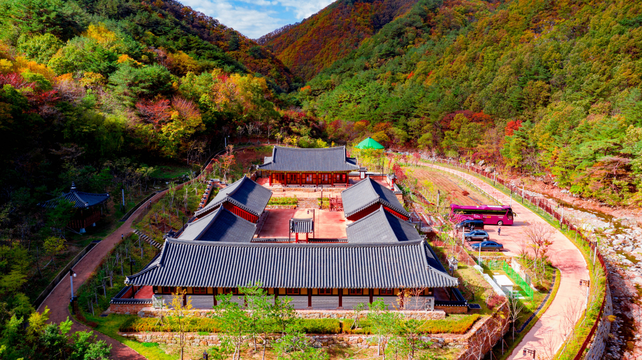 국립 김천치유의 숲 전경.[경북도 제공]