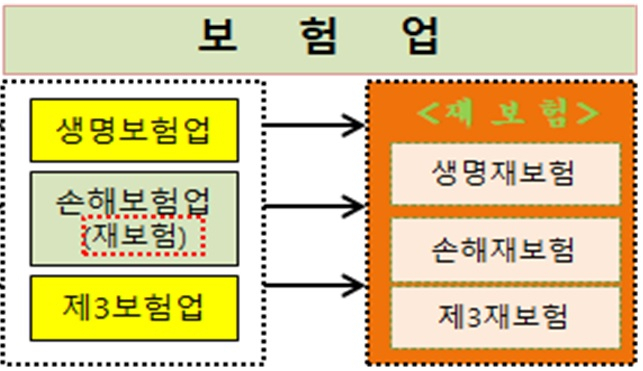 [이미지=재보험의 법적 지위 개편 방향]