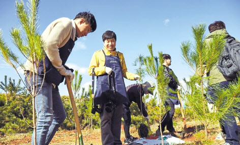나무 심는 ‘한화 태양의 숲’ 원정대 [한화 제공]