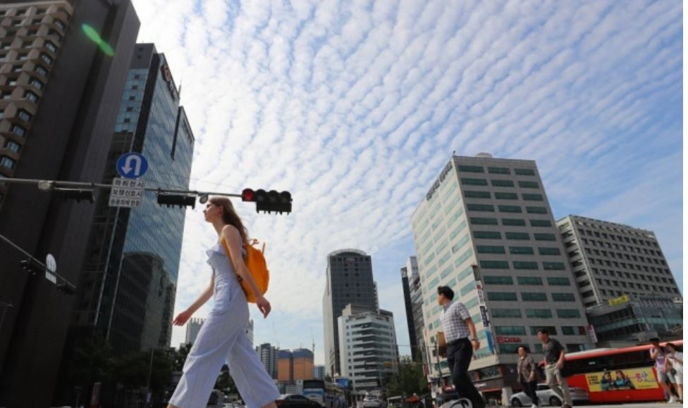 경찰청이 달라진 교통 환경을 반영하고자 15년 만에 도로교통법 전부 개정을 추진하고 있다. 사진은 서울광장 앞 횡단보도. [연합뉴스]