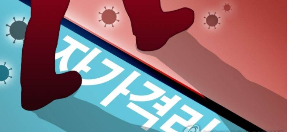 [그래픽=연합뉴스]