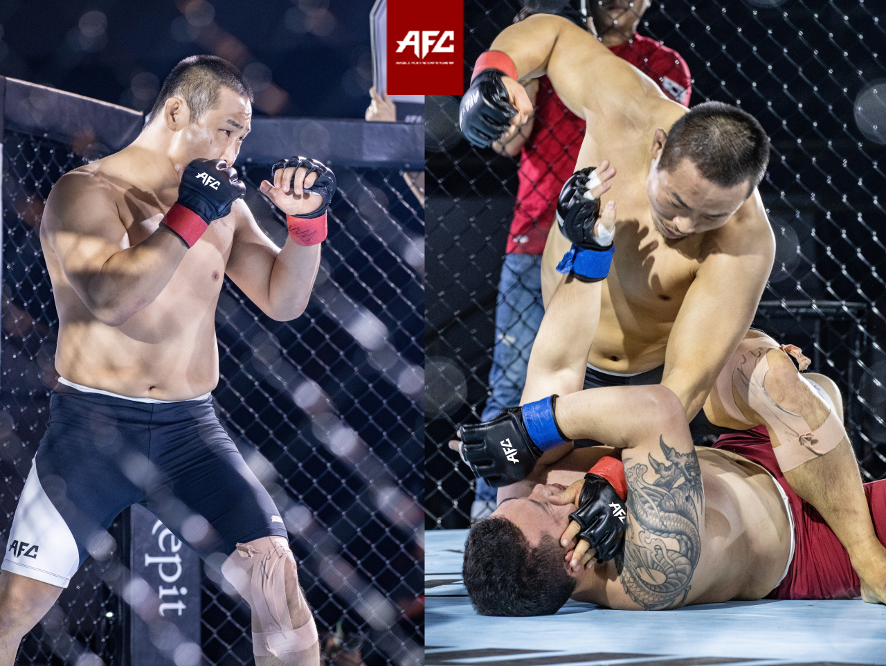[AFC 제공]