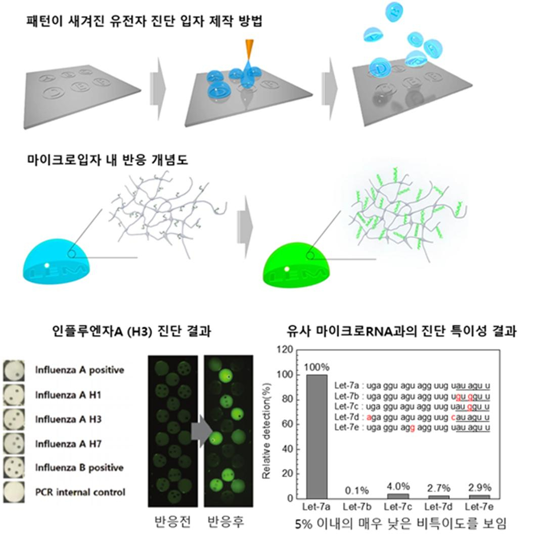 입자 기반 PCR진단기술 모식도.[KIST 제공]