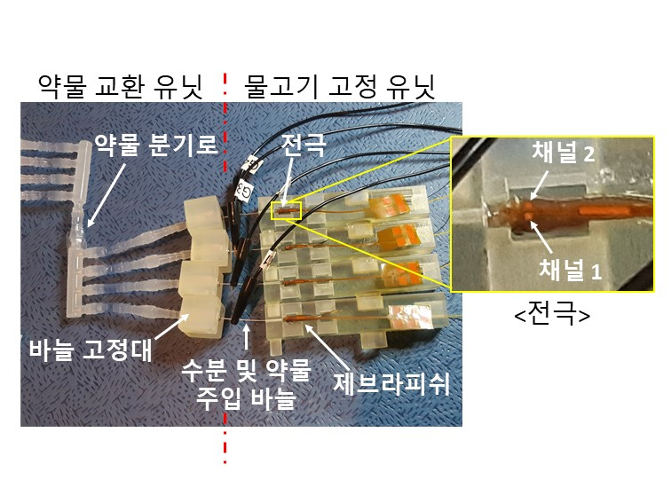 여러 마리 제브라피쉬에서 동시에 비침습적으로 뇌파를 측정하는 시스템 모습. [DGIST 제공]
