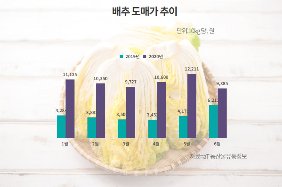 배추 도매가 추이