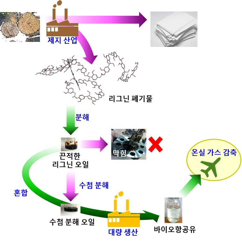 목재 폐기물로 친환경 ‘바이오항공유’ 대량생산한다