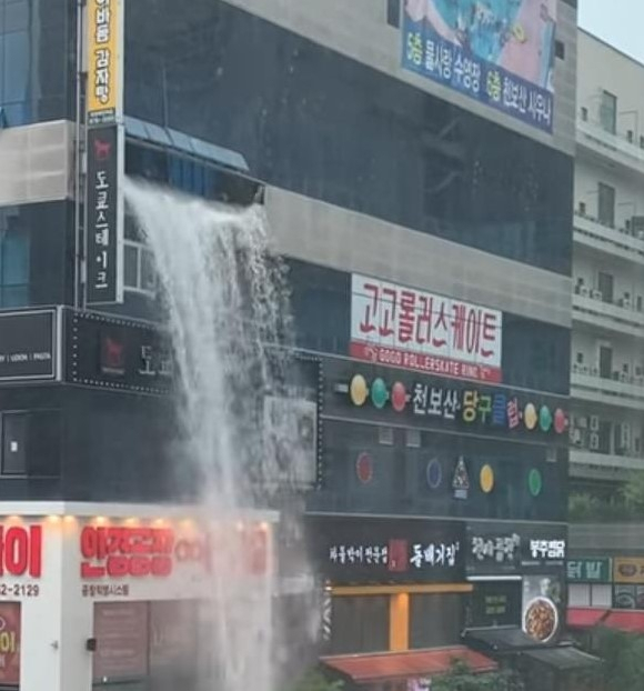 [독자 제공]