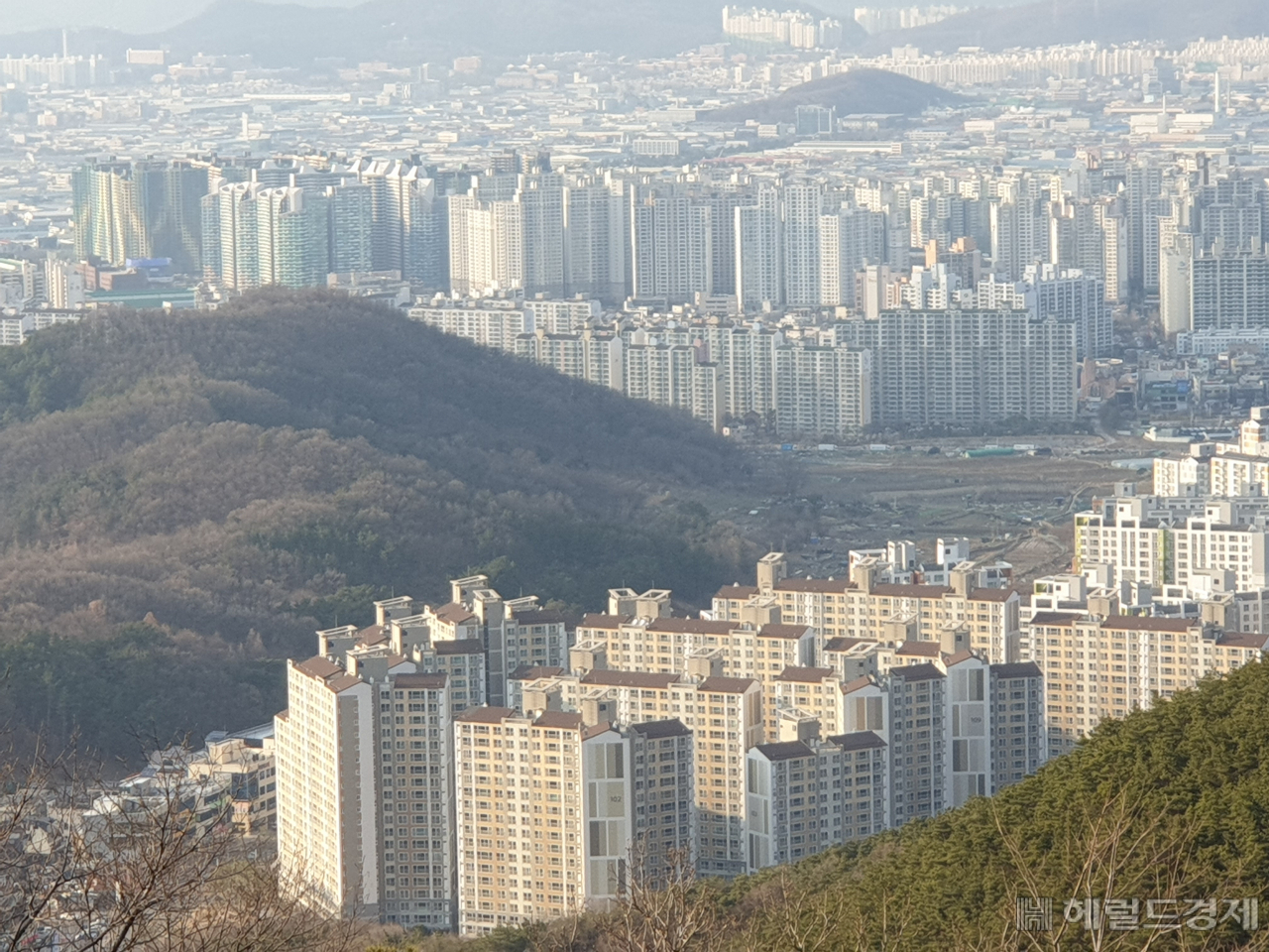 대구 도심 아파트 단지 모습.[사진=김병진 기자]