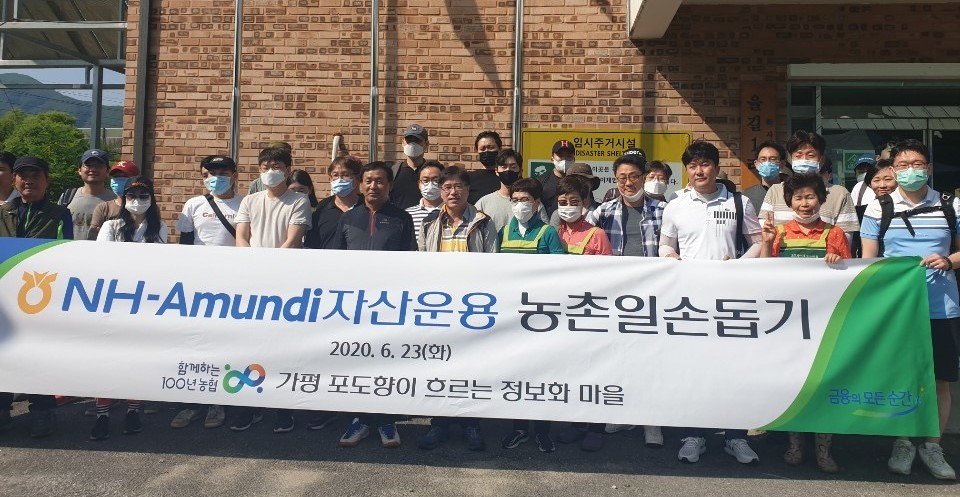 NH-Amundi자산운용 임직원들이 지난 23일 경기도 가평 ‘포도향이 흐르는 정보화 마을’에서 포도재배 농가 일손돕기에 참여했다.[NH-Amundi자산운용 제공]