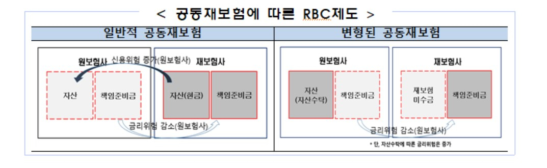 자료:금융감독원