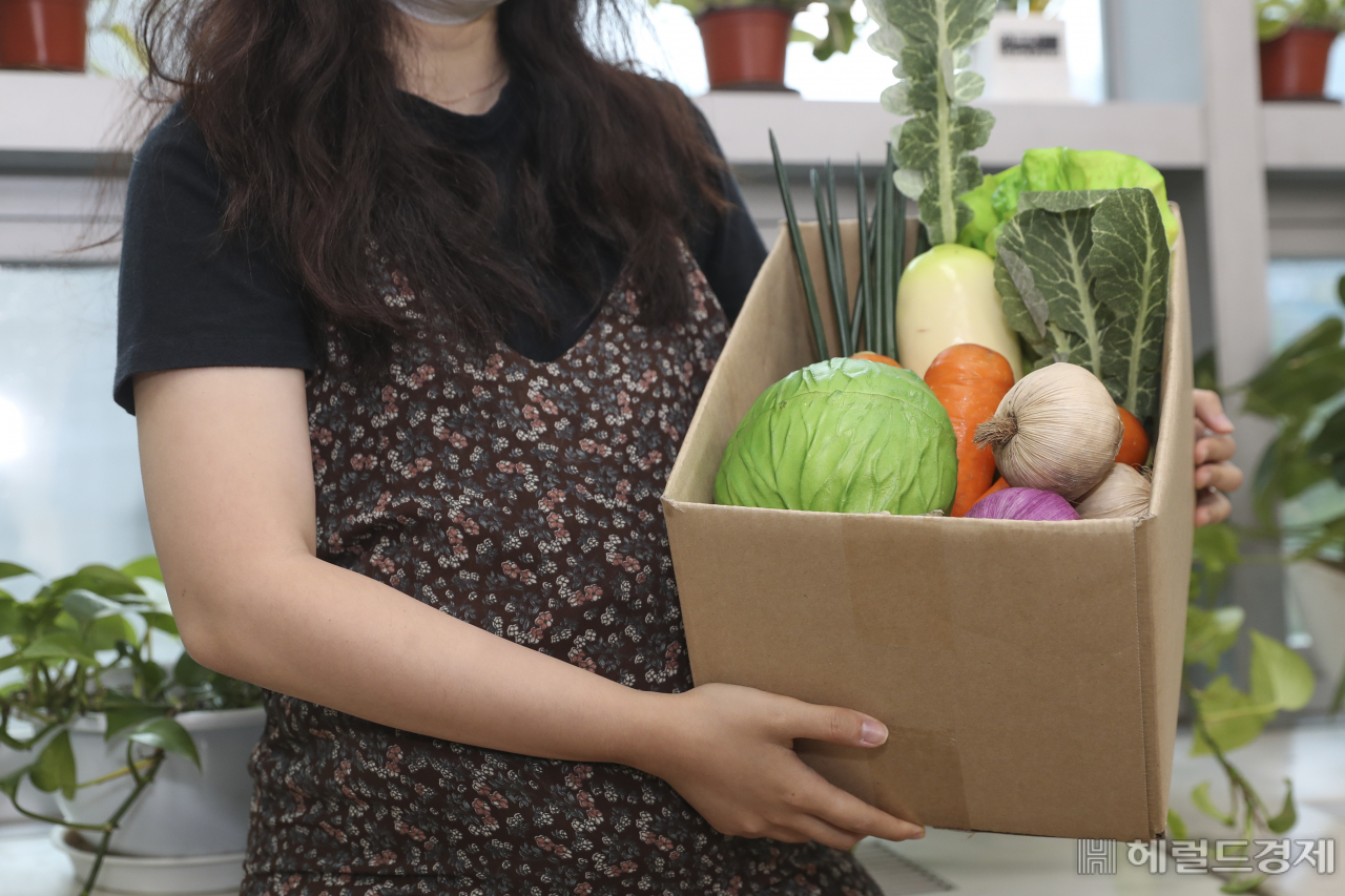 서울시 임산부는 9만8000원으로 최대 48만 원 어치의 친환경농산물 꾸러미를 구입할 수 있다. [성동구 제공]