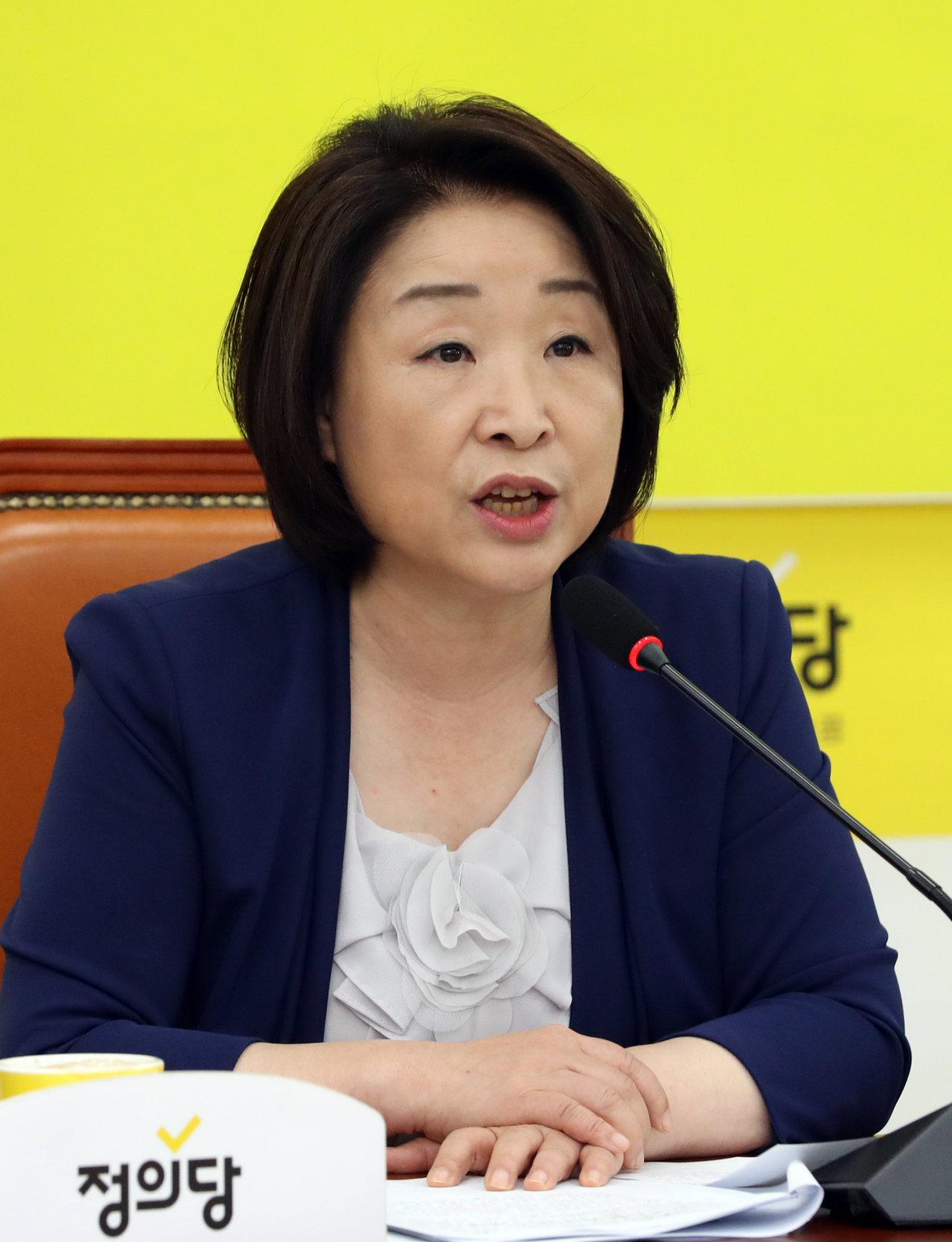 심상정 정의당 대표가 2일 오전 서울 여의도 국회에서 열린 상무위원회에서 발언하고 있다. [연합]