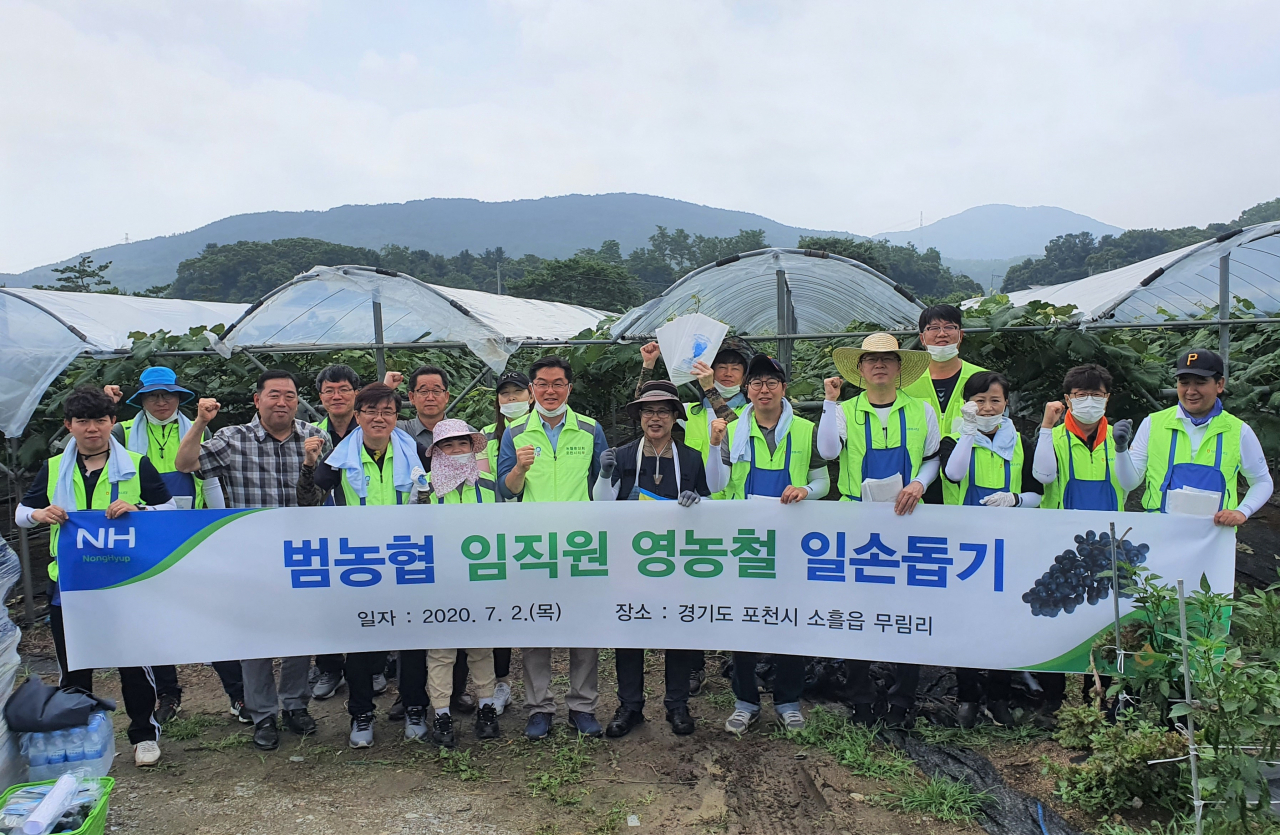 농협 임직원들이 포천시 소흘읍 포도 농가에서 일손돕기에 앞서 기념촬영을 하고 있다. [농협 제공]