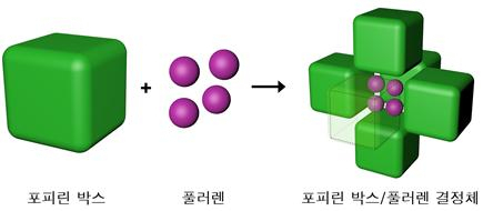 식물처럼 광합성하는 ‘태양전지’ 나온다