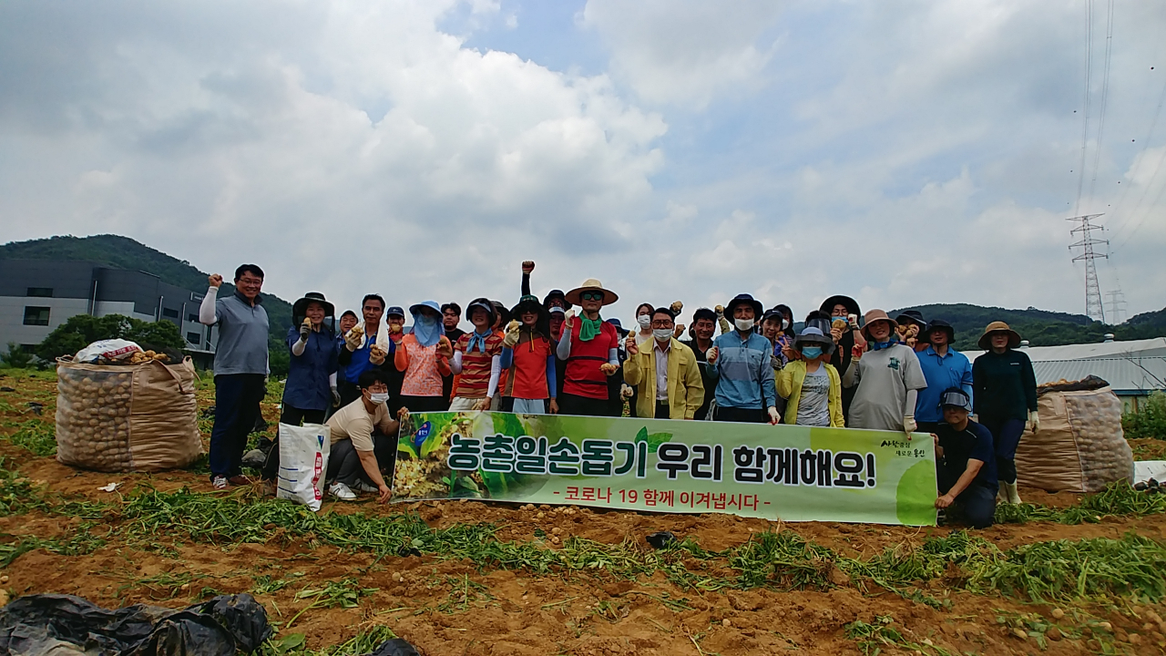 용인 남사면 한 농가 일손돕기에 나선 농업기술센터 직원들. [용인시 제공]