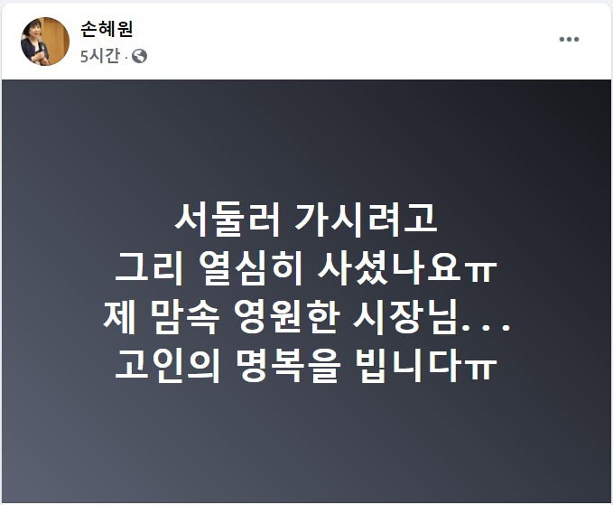 손혜원 열린민주당 전 의원 페이스북 일부 캡처