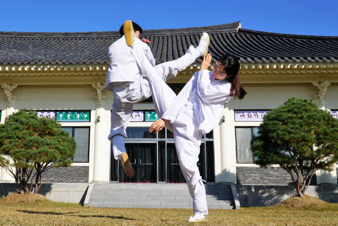 충주 택견원