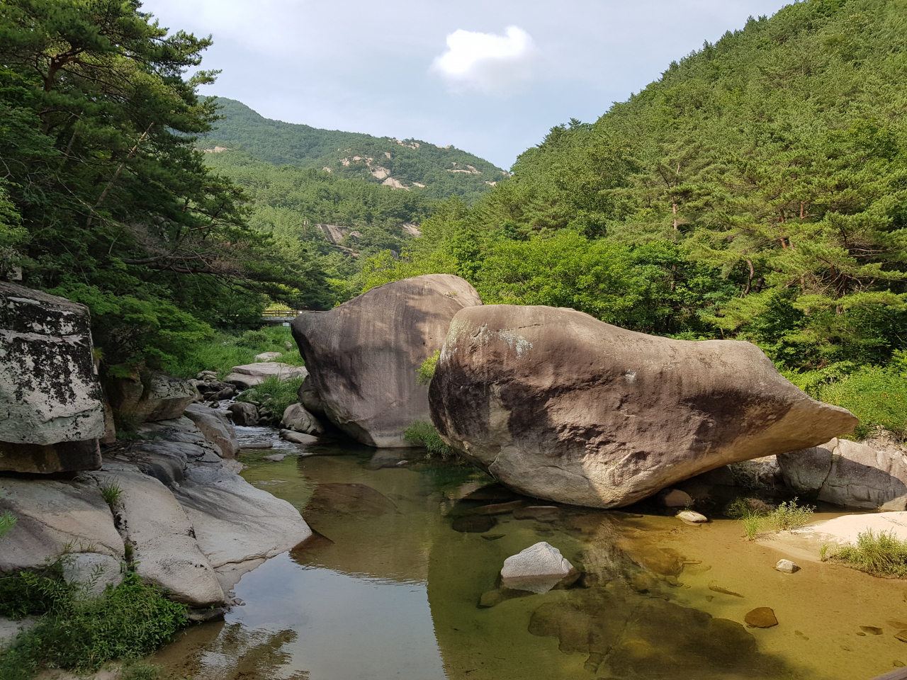 선유구곡의 돌고래 닯은 바위