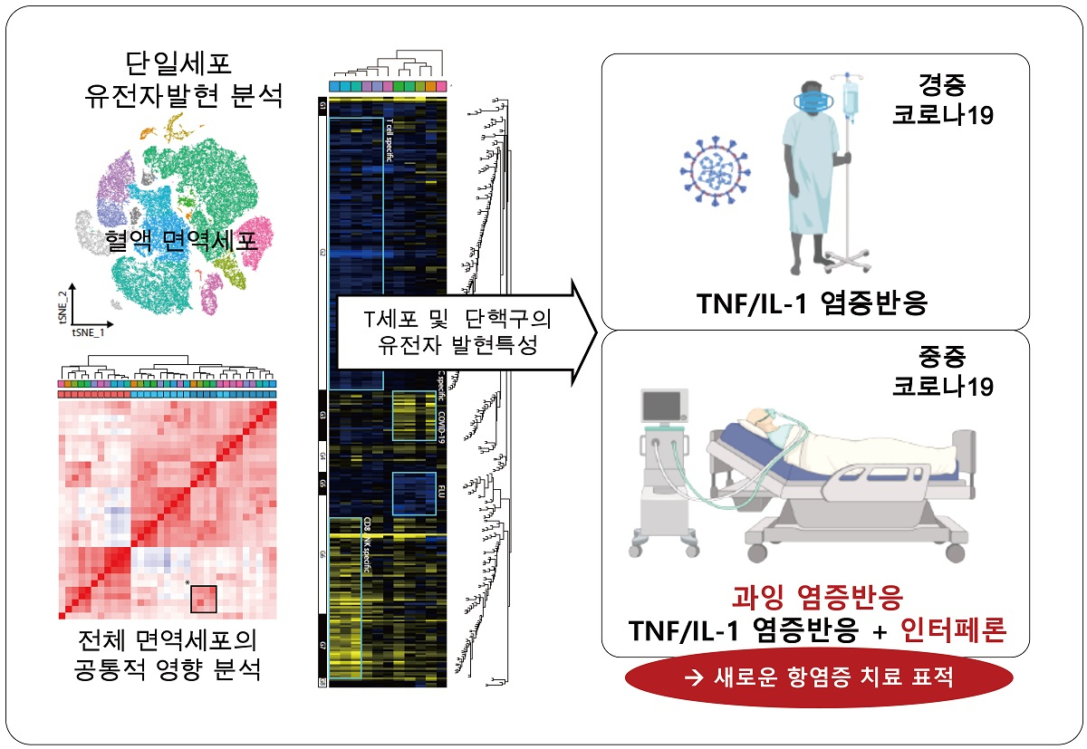 단일세포 유전자발현 분석 기법 개념도.[KAIST 제공]