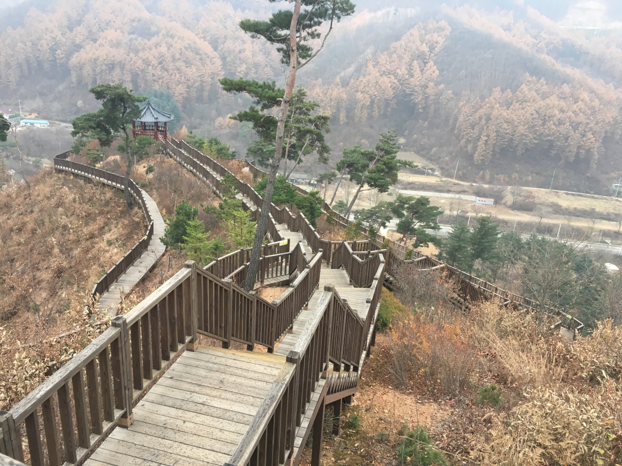 석포숲공원 전경.