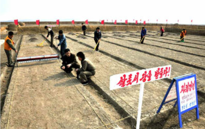 식량농업기구(FAO)와 국제농업개발기금(IFAD), 세계식량계획(WFP), 유엔아동기금(UNICEF), 세계보건기구(WHO) 등 주요 유엔기구들은 13일(현지시간) 발표한 보고서에서 북한 인구의 절반가량이 여양부족에 시달리고 있다고 밝혔다. 북한주민들이 협동농장에서 씨 뿌리기 작업을 하는 모습. [헤럴드DB]