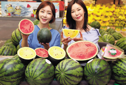 1~2인 가구도 부담 없이 즐길 수 있는 미니 수박과 자른 수박을 소개하는 모델들. [이마트 제공]