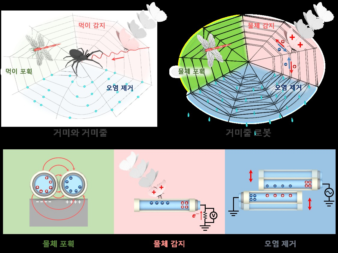 거미의 행동학적 특성을 모사한 거미줄 로봇 모식도.[서울대 제공]