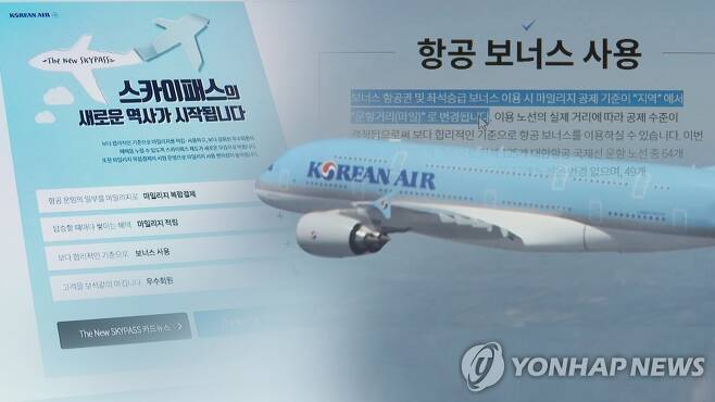 [연합뉴스TV]