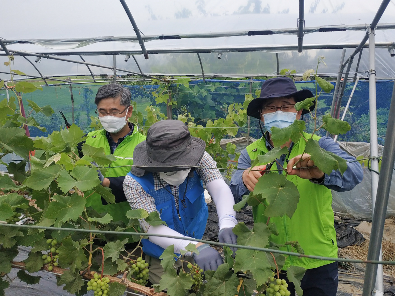 왼쪽부터 박옥래 농협중앙회 경기지역본부 부본부장, 김영태 경기사랑봉사회장(경기도의회 언론홍보담당관), 박재민 농협중앙회 지역사회공헌부 국장. [농협 제공]